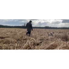 Gundog game cover crop training facility rental, exclusive use for 2 hrs
